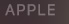 APPLE配件